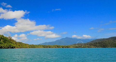 Cow Bay Hilltop Escape - Gold Coast 4U 4
