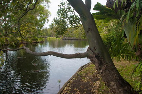 Northlakes Studio - Accommodation Gold Coast 4