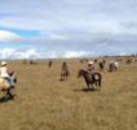 Susan River Homestead - Gold Coast 4U