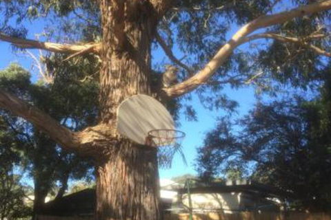 Inverloch Motel - Accommodation Gold Coast 5