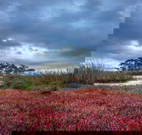 Saintys Creek Cottage - Accommodation Gold Coast