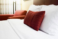 Tranquility On The Daintree - Accommodation Gold Coast 0
