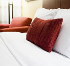 Palm Whispers Luxury Bed  Breakfast - Accommodation Gold Coast