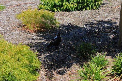 Duxton Coach House - Accommodation Gold Coast 2