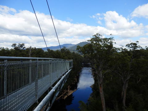 Tahune Air Walk Lodge - Accommodation Gold Coast 5