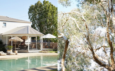 The Brunswick, Brunswick Heads - Accommodation Gold Coast 1