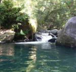 Daintree Secrets Rainforest Sanctuary - Accommodation Gold Coast