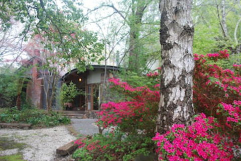 Rocky Creek Art Garden B&B - Gold Coast 4U 0