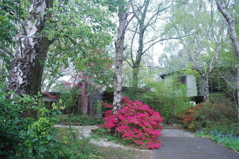 Rocky Creek Art Garden B&B - Gold Coast 4U 5