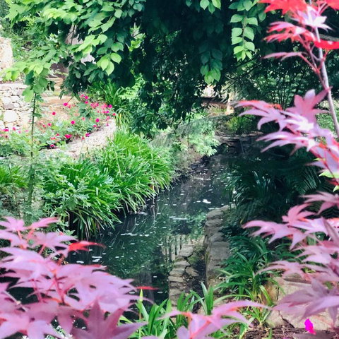 Aldgate Creek Cottage Bed & Breakfast - Accommodation Gold Coast 7