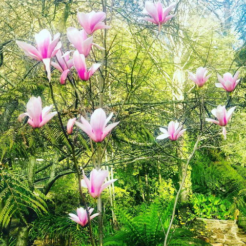 Aldgate Creek Cottage Bed & Breakfast - Accommodation Gold Coast 3