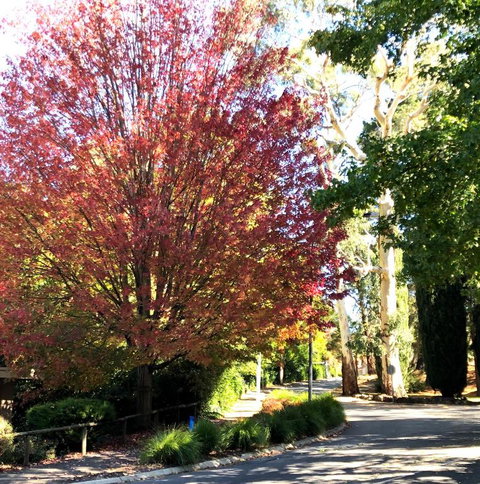 Aldgate Creek Cottage Bed & Breakfast - Accommodation Gold Coast 2