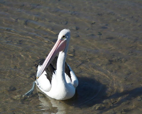 Moreton Bay Beach Lodge - Accommodation Gold Coast 4