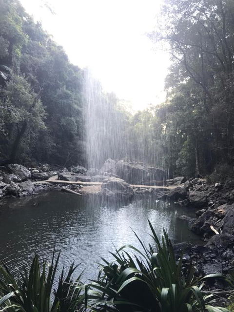 The Sanctuary At Springbrook - Accommodation Gold Coast 2