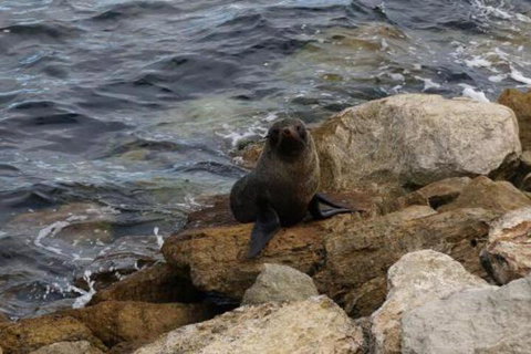 Kohinoor Getaway - Accommodation Gold Coast 5