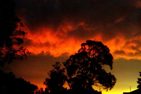 Taits Place Vineyard B & B - Accommodation Gold Coast 2