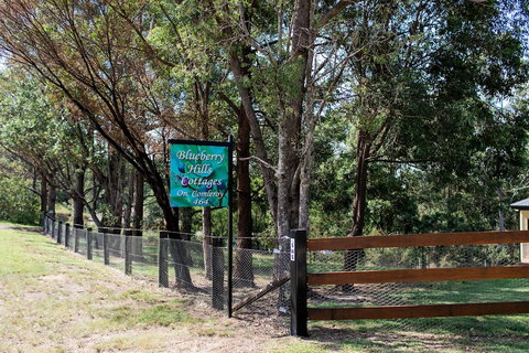 Blueberry Hills On Comleroy - Accommodation Gold Coast 0