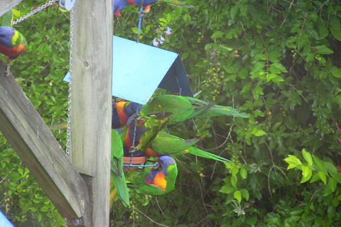 A Lakehouse Escape - Accommodation Gold Coast 4