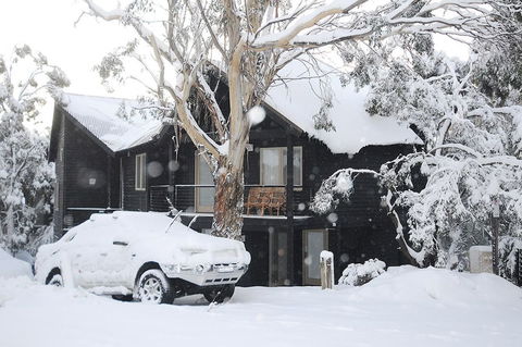 Milkwood - Accommodation Gold Coast 1