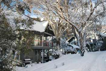 Milkwood - Accommodation Gold Coast 0