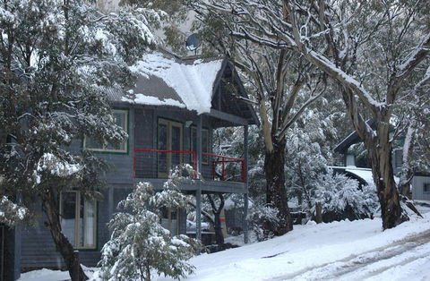 Milkwood - Accommodation Gold Coast 3