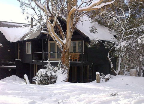 Milkwood - Accommodation Gold Coast 4