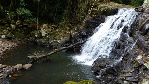 Buddha Cottage Springbrook - Accommodation Gold Coast 2