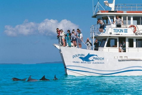 Jervis Bay Blue Vincentia - Gold Coast 4U 2