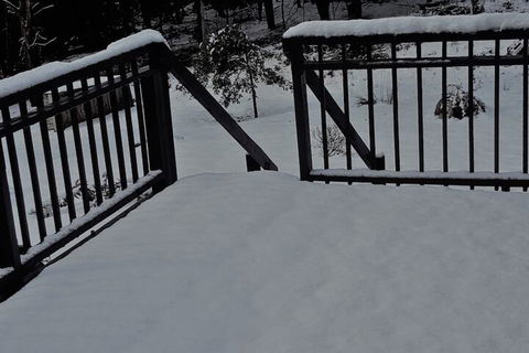 Cradle Alpine Retreat - Accommodation Gold Coast 1