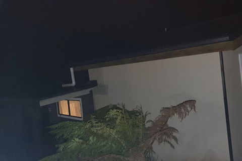 Cradle Alpine Retreat - Accommodation Gold Coast 2