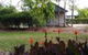 Sunset Villas Cobram - thumb 1