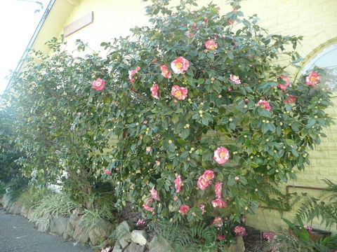 Getaway Inn Boutique Guest House - 1 Gold Coast 1