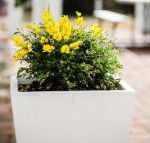 Esperance Coastal Retreat - Gold Coast 4U
