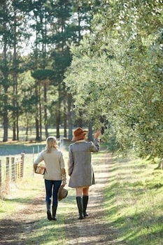 Olio Bello Lakeside Glamping - Accommodation Gold Coast 5