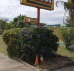 Golden West Motor Inn - Accommodation Gold Coast