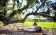 Waterfall Springs Retreat And Wildlife Sanctuary - thumb 5