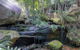 Waterfall Springs Retreat And Wildlife Sanctuary - thumb 3
