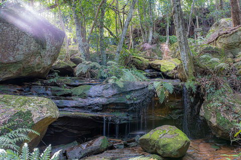 Waterfall Springs Retreat And Wildlife Sanctuary - Gold Coast 4U 3
