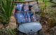 Waterfall Springs Retreat And Wildlife Sanctuary - thumb 1