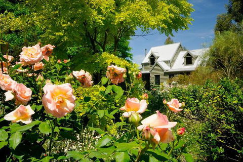 Brigadoon Cottages - Accommodation Gold Coast 4