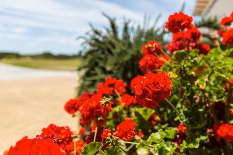 Cottages For Couples - Accommodation Gold Coast 2