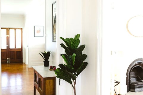 Morpeth Cottage - Accommodation Gold Coast 7