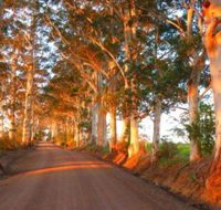 Innisfree Mountain Retreat - Accommodation Gold Coast