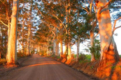 Innisfree Mountain Retreat - Accommodation Gold Coast 0