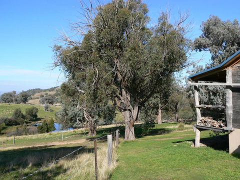 Gaddleen Grove Cottages - Gold Coast 4U 6