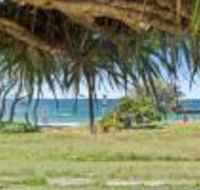 Pandanus on Emerald - Gold Coast 4U