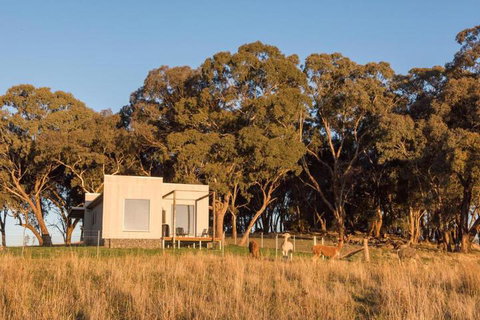Dragonfly Cottages - Accommodation Gold Coast 5