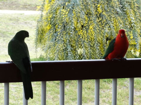 Loughmore House - Accommodation Gold Coast 2
