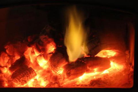 Wattle Grove Homestead Bed & Breakfast - Accommodation Gold Coast 1