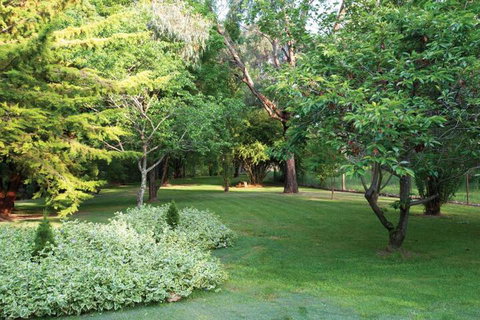 Clifton Gardens Bed & Breakfast Orange - Accommodation Gold Coast 6